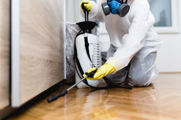 Best Pest Control Near Me  in Crest Hl, IL