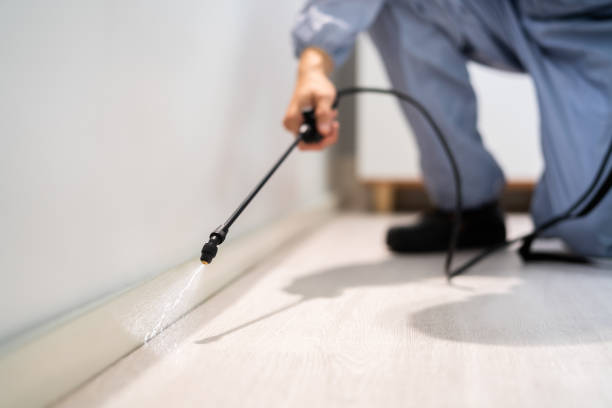 Flea Control Services in Crest Hill, IL